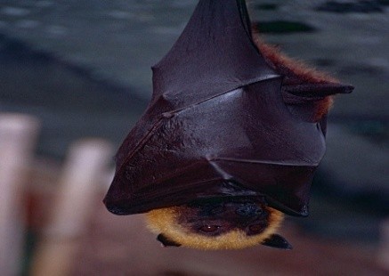 Antsahamena-2