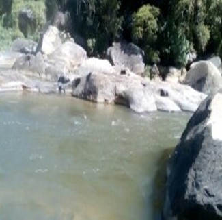 Image1